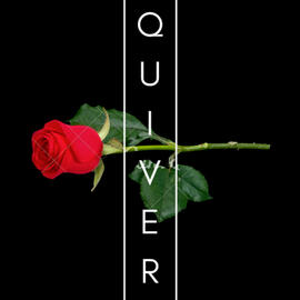 Quiver